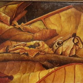 Mimetismo "Bruco criptico"