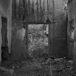 Senza titolo dalla serie 