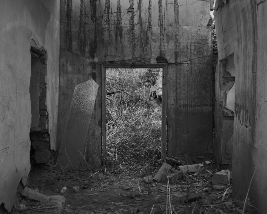 Senza titolo dalla serie 