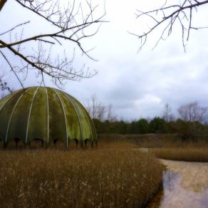 Woodpecker Milano Marittima Cervia