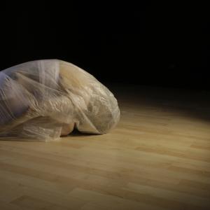 Stato emotivo embrionale