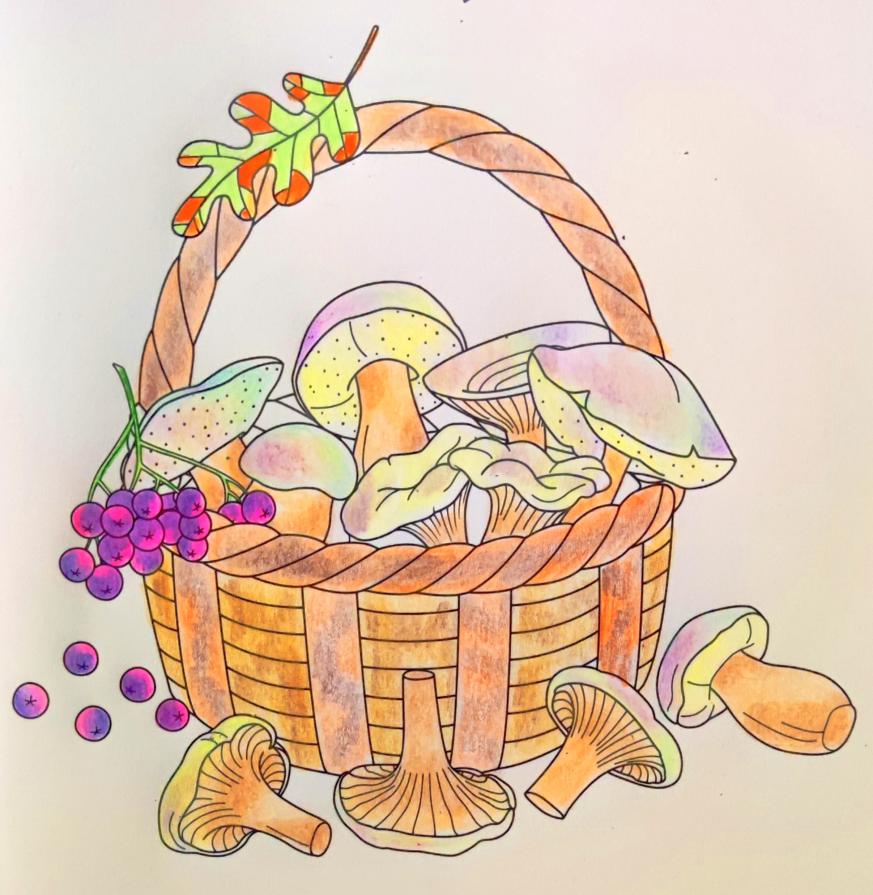 Il freddo pizzica,...ma nel cesto profumato i funghi raccontano storie....