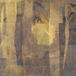 LE FOTO DELL'INAUGURAZIONE di ABSTRACTA A SABBIONETA (MN)