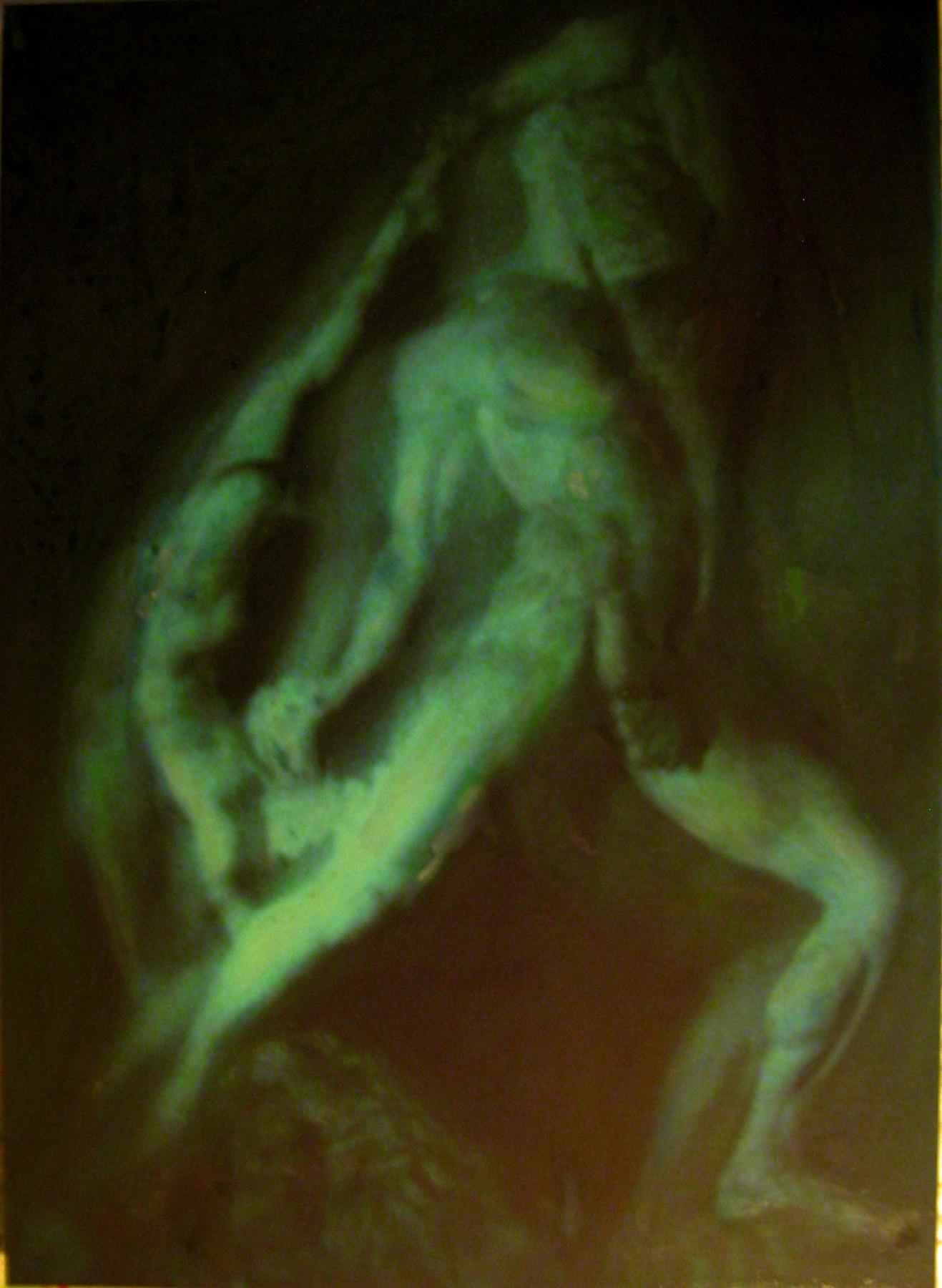 "Tra sacro e profano"