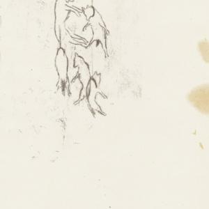 Elisa Bertaglia - Alma Venus et Venatrix Diana