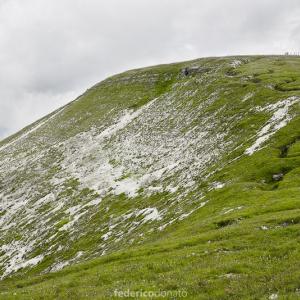 Federico Donato, Cento