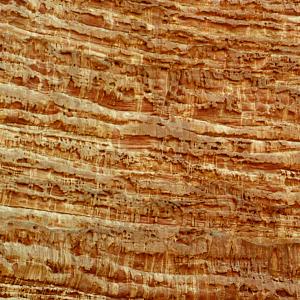 Giordania. Deserto e pietre