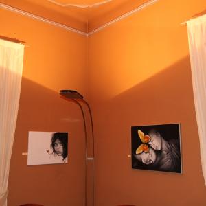 AESTETICA: LA LINEA E LA FORMA