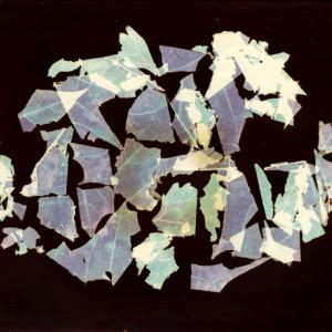 Sconfinamenti. Vintage ed Unicum di Nino Migliori