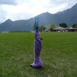 sulle ali della liberta'