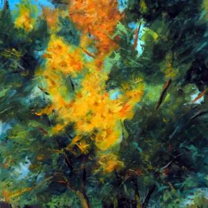 TRA PAESAGGI E CITTà AL CLUB MERIDIANA