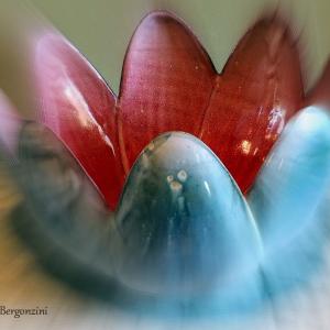 FIORI IN VILLA al CLUB MERIDIANA DI MODENA