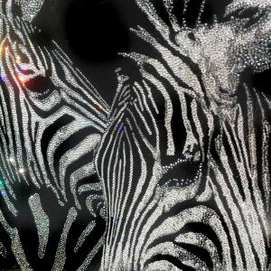 Luminescenze -  Apparizioni dell’opera per il FestivalFilosofia di Modena