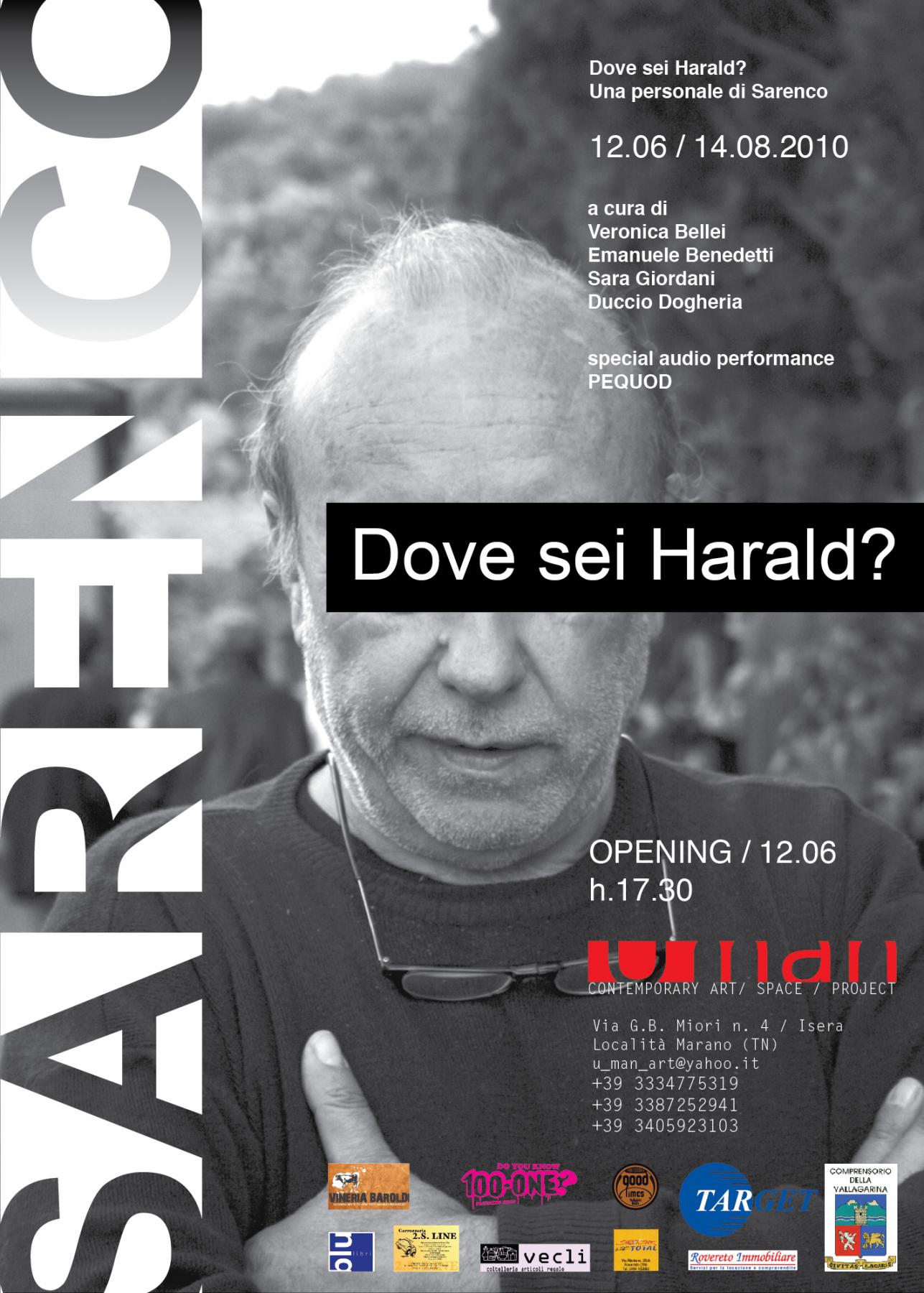 DOVE SEI HARALD? SARENCO solo show
