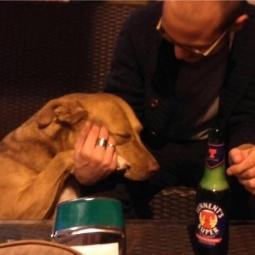 Festival Marenostrum