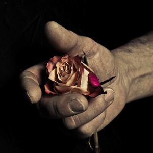 Testosterone e Ma...Donne