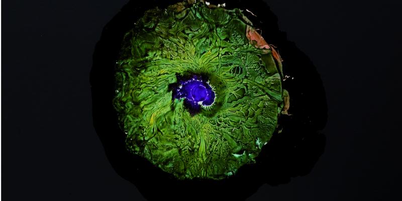 Abyssal Monster Abyssal Monster