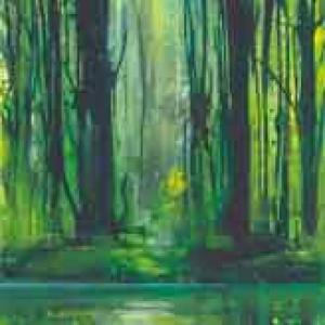 BERND ZIMMER Seconda Natura 