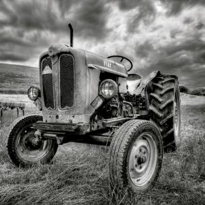 Alessandro Gauci - Fotografo