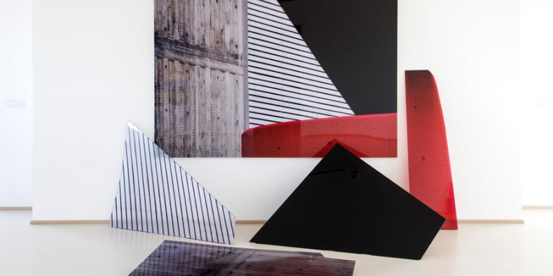 BIOLOGY OF THE INORGANIC