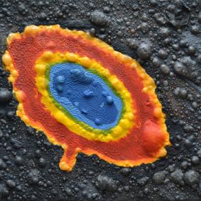 soluzione ovvero M57 rivelazione scientifica