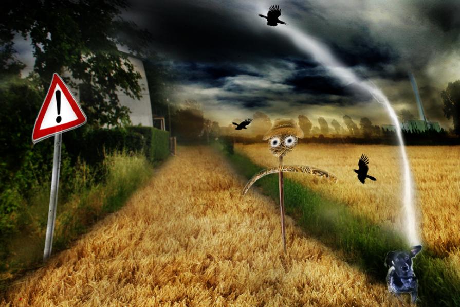 scappa maurino scappa.