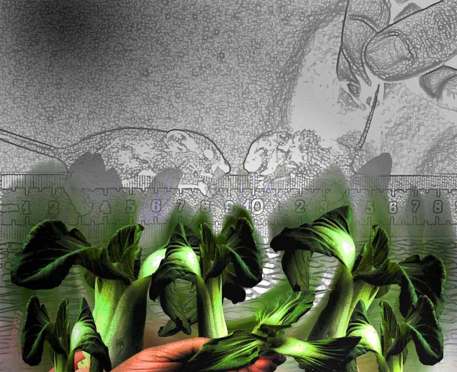 Laboratory Malnourished 1 Laboratory Malnourished 1