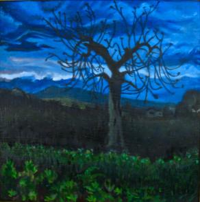 Silfidi sopra Valle Cupa