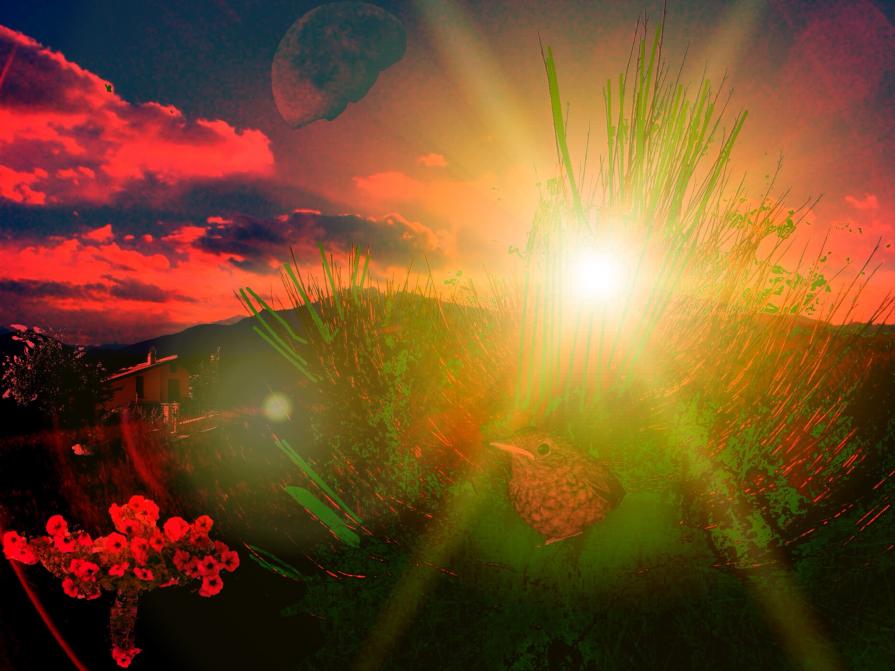 ...L'ELEGANZA È L'EQUILIBRIO TRA PROPORZIONI EMOZIONE E SORPRESA...!!!    *** GRAZIE GIANPAOLO  MARC