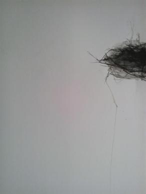 Nido 2 - Tecnica mista su carta 2014