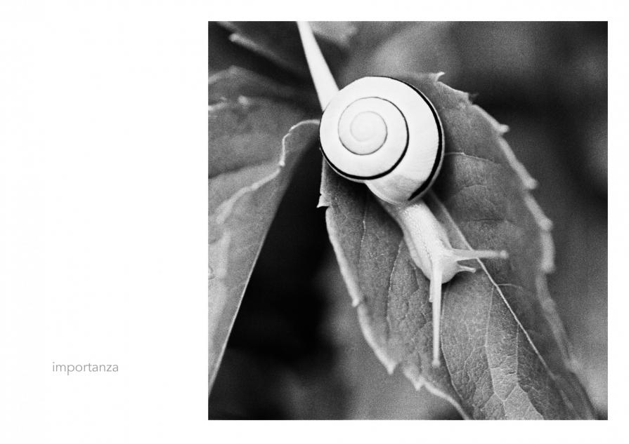 Abbecedario - Importanza