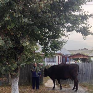 Waiting For Godot Waiting For Godot