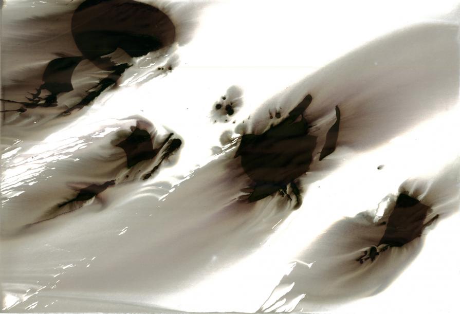  My private area of the protected landscape