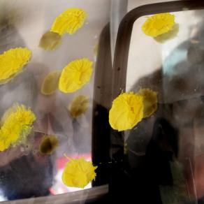 punto cromie in giallo.