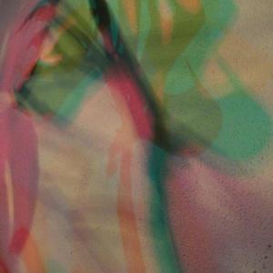 I colori della biodiversità -2015