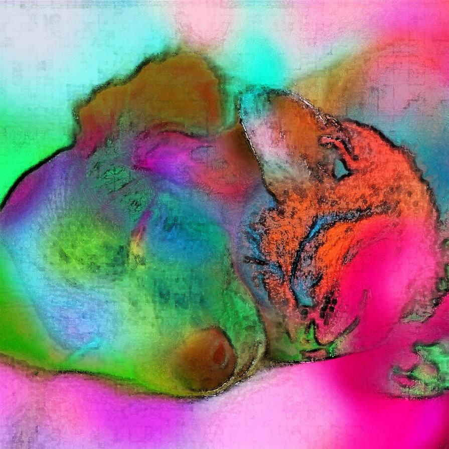 le attenzioni speciali !!!