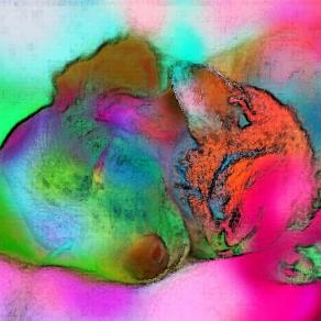 le attenzioni speciali !!!