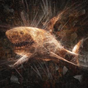 Entanglement (Shark)