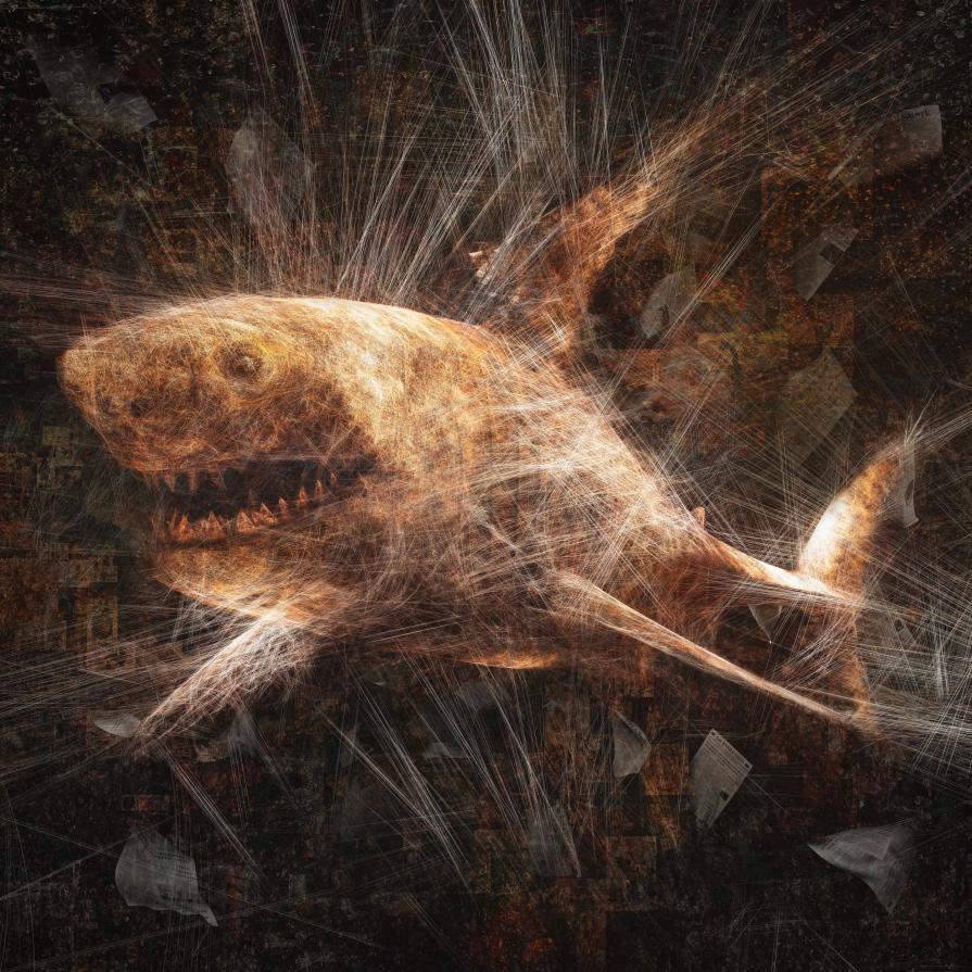 Entanglement (Shark)