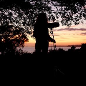 Call and Response, dawn chorus field recordings, Auckland