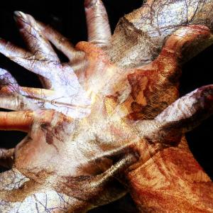 Metamorphosis Metamorphosis