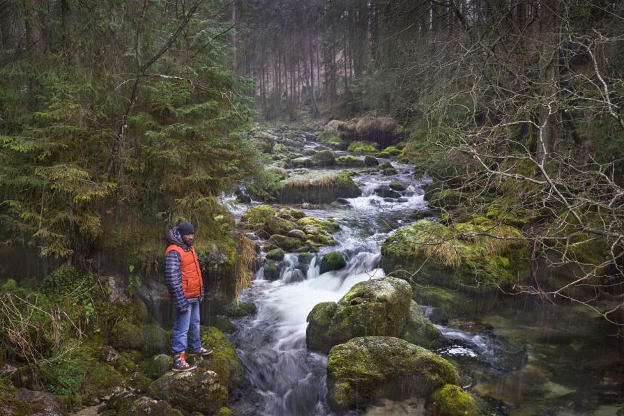 Fremd bin ich eingezogen