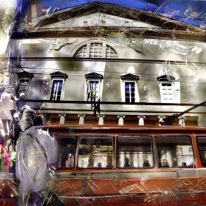 insetti urbani metropolitani.