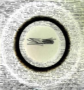 Letizia Ardillo -Un mare di parole-