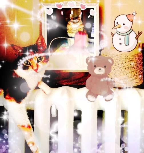 La sola 'tempesta' che Tata provoca ora è un uragano di fusa e calore !!!