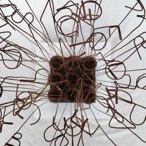 Rudy Pulcinelli, Bíos