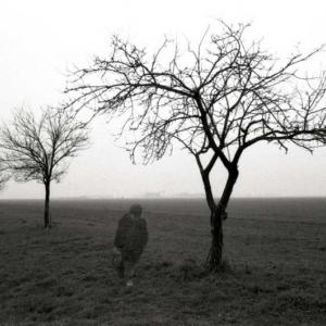 Pietro Bandini, Trame