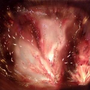 Luminescenze -  Apparizioni dell’opera per il FestivalFilosofia di Modena