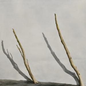 Franz Baumgartner, Il respiro del silenzio