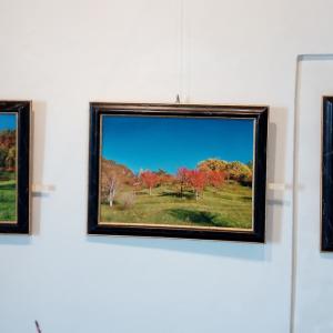 IL PAESAGGIO IDEALE A REVERE con ANTONIO PEDRETTI